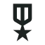 icon-medal